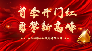 首季開(kāi)門紅 勇攀新高峰|匯鋒股份第一季度表彰暨工作總結(jié)大會(huì)順利召開(kāi)